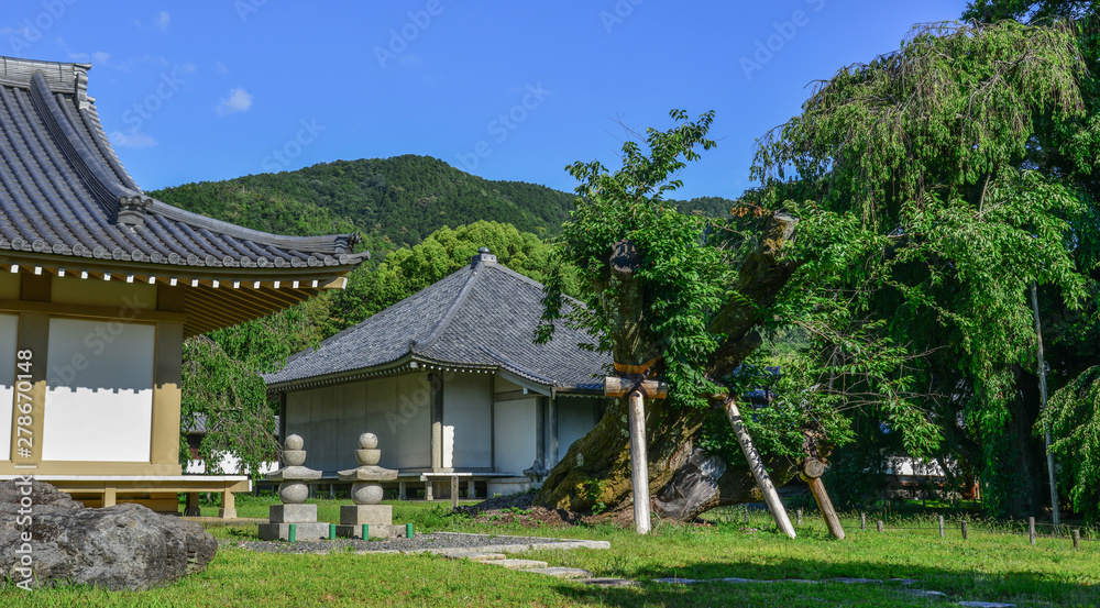 Ancient temple in Kyoto, Japan