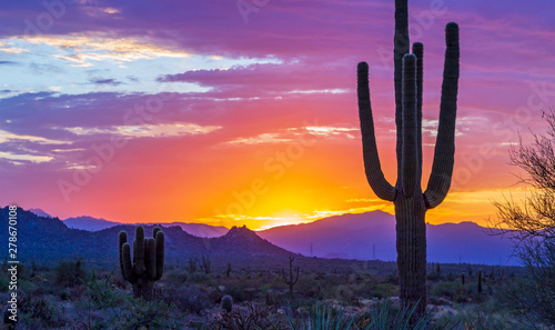 Stunning Sunrise In North Scottsdale AZ Desert Preserve