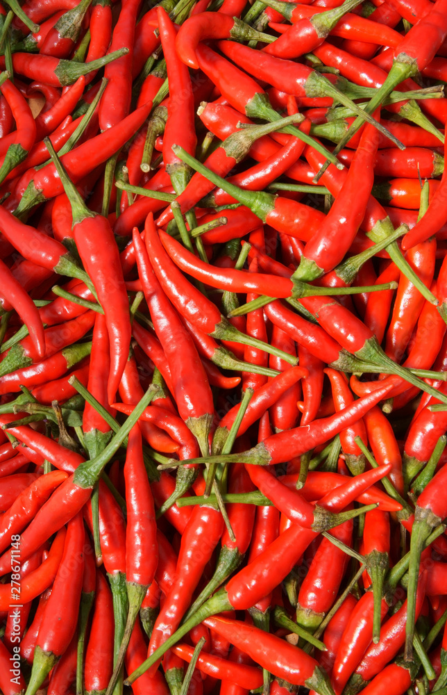Red hot chili pepper as background