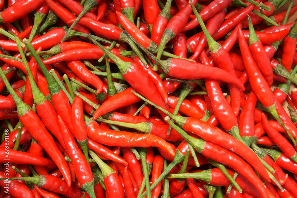 Red chili pepper background