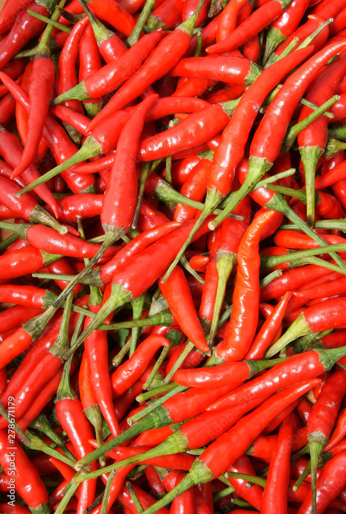 Chili pepper background