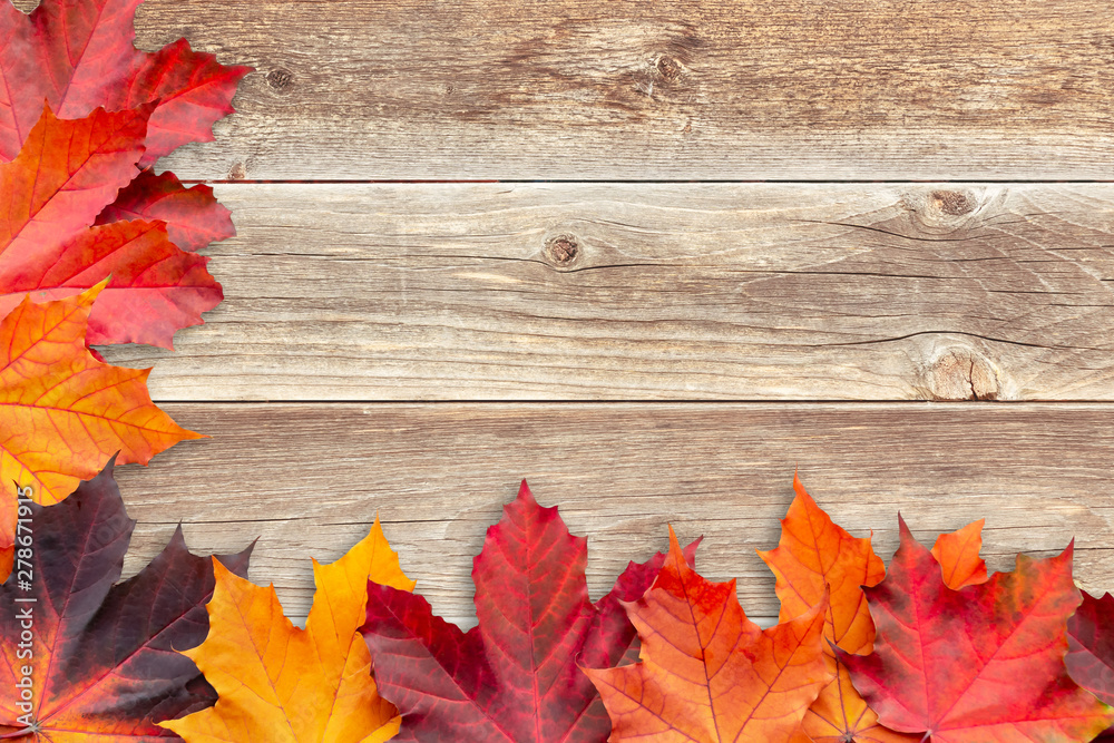 Border of autumn maple leaves on wooden background - a beautiful template for an autumn card or congratulations Border of autumn maple leaves on wooden background - a beautiful template for an autumn card or congratulations