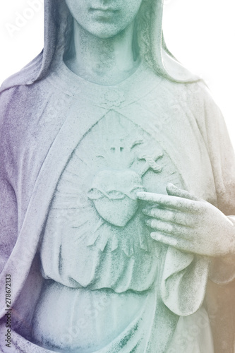 Photography Heart of Virgin Mary