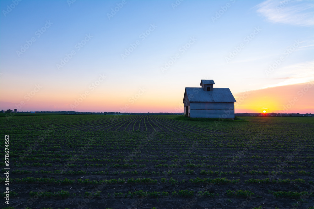 Fototapeta premium Old barn at sunset