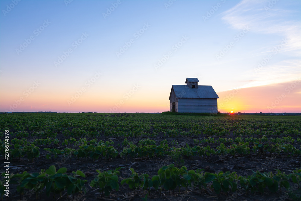 Fototapeta premium Old barn at sunset