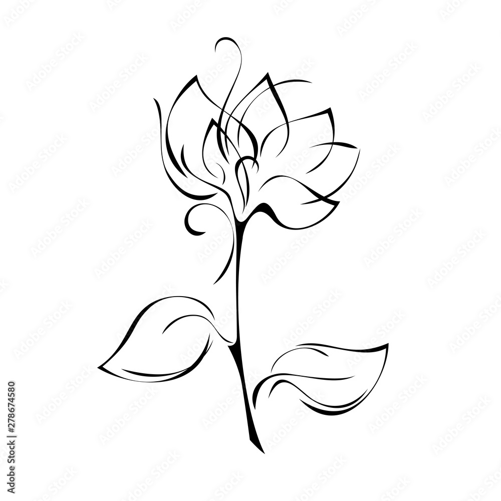stylized flower on a short stem with leaves in black lines on a white background stylized flower on a short stem with leaves in black lines on a white background