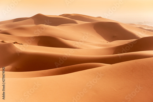 Fotobehang Beautiful sand dunes in the Sahara desert.