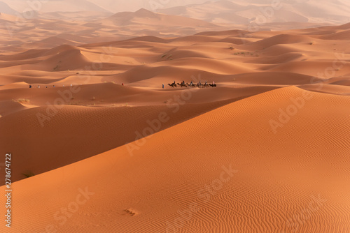 Beautiful sand dunes in the Sahara desert.