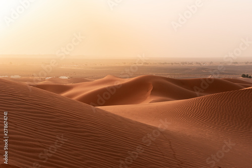 Fototapeta Naklejka Na Ścianę i Meble -  Beautiful sand dunes in the Sahara desert.