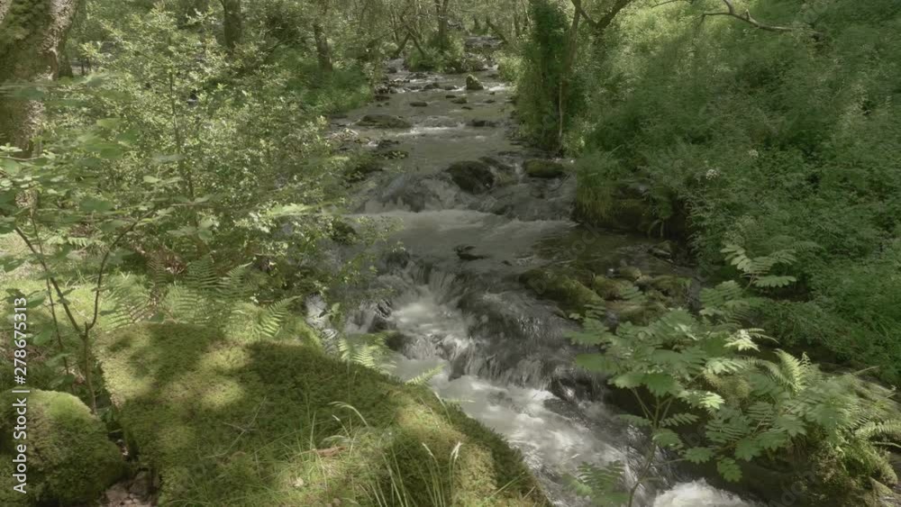 Slider shot of fast flowing rive in beautiful forest arae in North Wales - Dolgoch Falls Slider shot of fast flowing rive in beautiful forest arae in North Wales - Dolgoch Falls