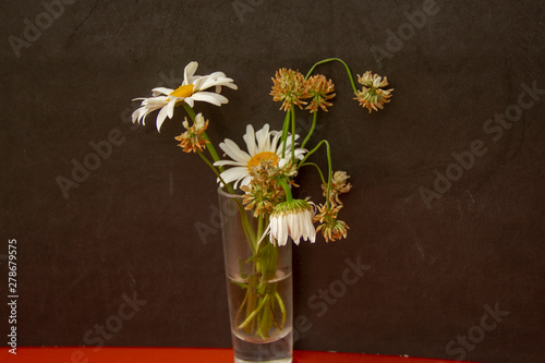 natural background. Chamomile and clover in a small pile.