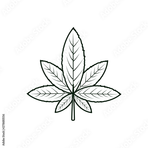 cannabis leaf plant nature icon