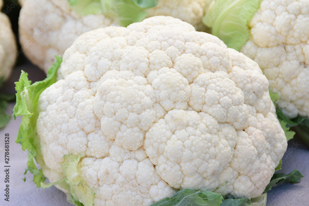 Organic White Cauliflower at the Farmer's Market Organic White Cauliflower at the Farmer's Market
