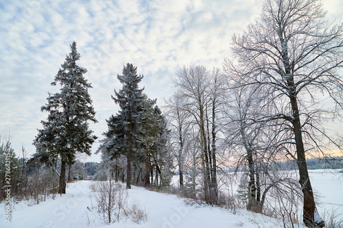 Winter landscape with snowy road, trees and blue sky with white clouds