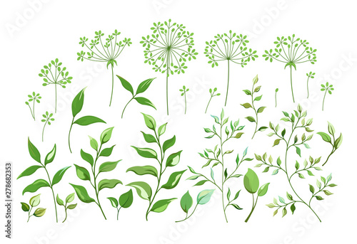 Bouquet with elements-field grass leaves. Flower set. Herbarium. Beautiful vector design element for birthday invitation  wedding  for greeting card design.