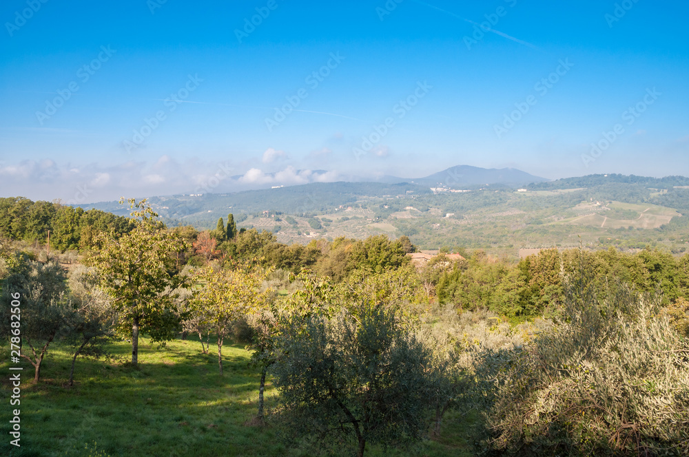 Beautiful landscape with olive trees and distant mountains. Toscana, Italy