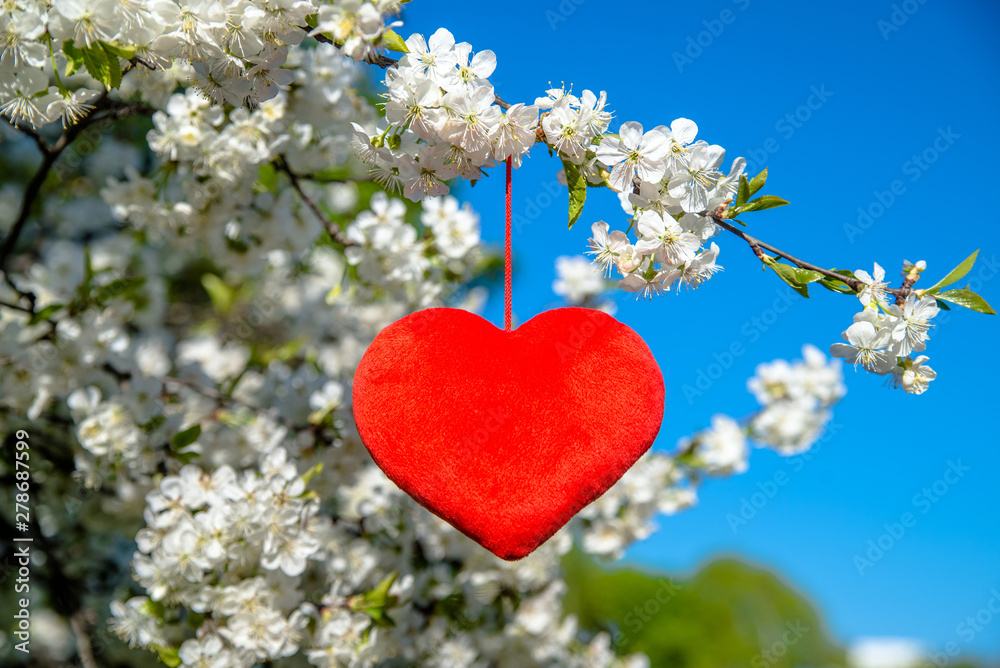Red heart among the branches of the cherry Red heart among the branches of the cherry