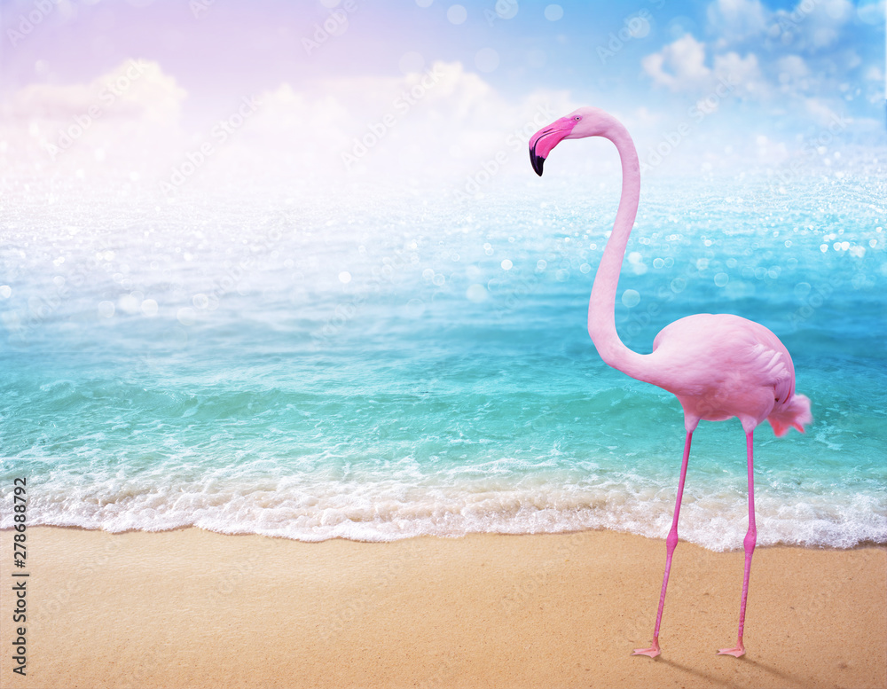 Fototapeta różowy flaming na pięknej piaszczystej plaży i miękkim niebieskim tle fal oceanicznych w tle letnich