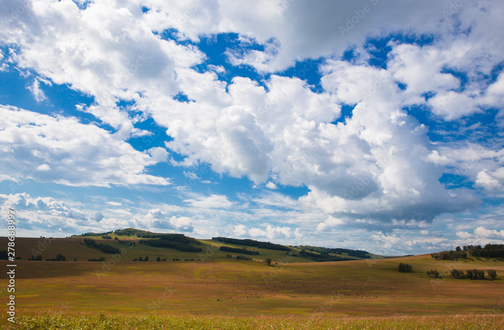 Blue sky with white clouds, trees, fields and meadows with green grass, against the mountains. Composition of nature. Rural summer landscape. Blue sky with white clouds, trees, fields and meadows with green grass, against the mountains. Composition of nature. Rural summer landscape.