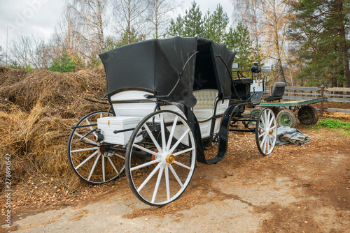 The carriage on the farm is on the street