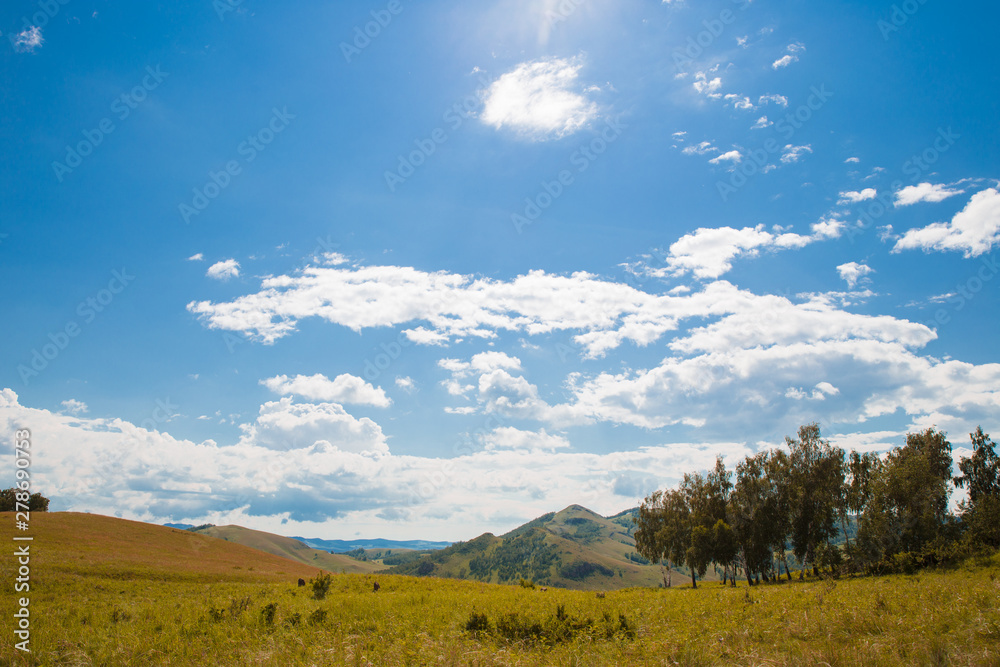 Blue sky with white clouds, trees, fields and meadows with green grass, against the mountains. Composition of nature. Rural summer landscape.