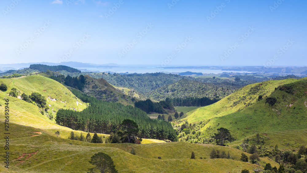 Fototapeta premium landscape Matamata