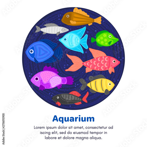 Vector colorful cartoon fish in circular shape. Undersea world. Aquarium. Cute marine life. Pisces. Brochure, flyer, label, cover, poster, banner, package, presentation, print on clothes, card. Eps10