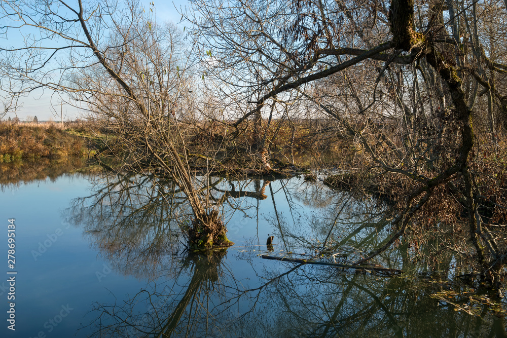 Obraz premium Autumn forest river water panorama. Natural color.