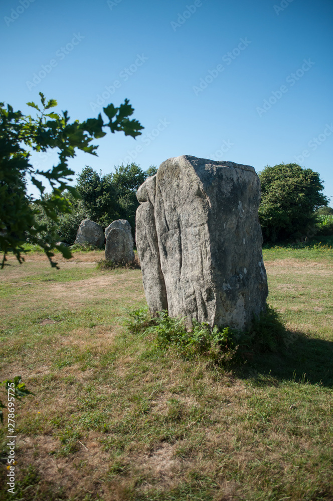 view of famous megalith alignment in Carnac Brittany France view of famous megalith alignment in Carnac Brittany France