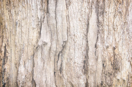 Grunge old wood skin patterns , nature wall texture light brown background