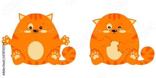 Set of glad smiling and sad crying with tears sweet and cute fat red little ginger striped cat in sitting pose.
