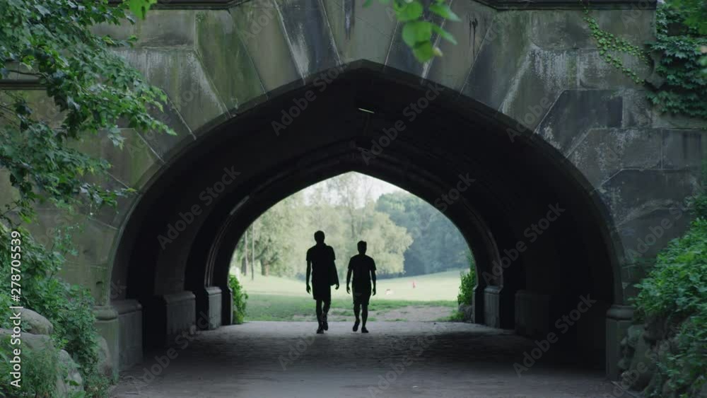A person walks through a tunnel in Prospect Park in Brooklyn, NY A person walks through a tunnel in Prospect Park in Brooklyn, NY