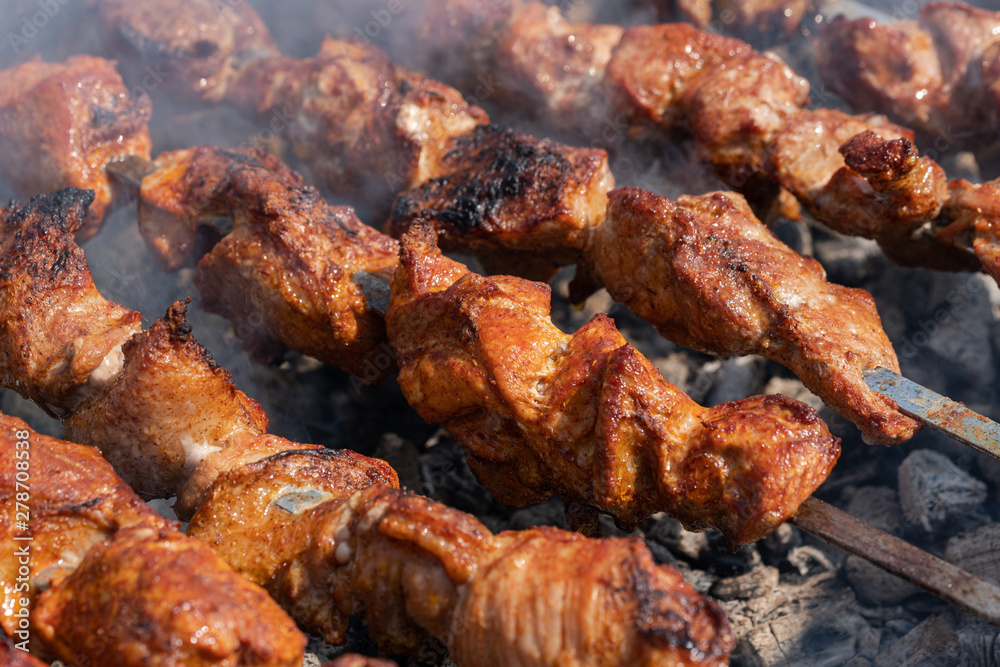 Tasty juicy pork barbecue cooking on metal skewers on charcoal outdoors grill with fragrant fire smoke. Cooking during summer picnic. Close-up view, selective focus on pieces of delicious roast meat.