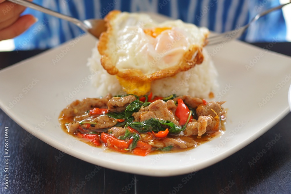 Thai food : Kaphrao Moo is Stirred and fried pork with holy basil and chilies served on steamed rice and fried egg. Shooting in studio for advertising. Thai and Asian food concept.