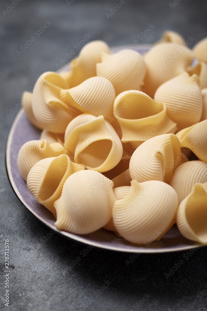 pasta conchiglie pasta conchiglie