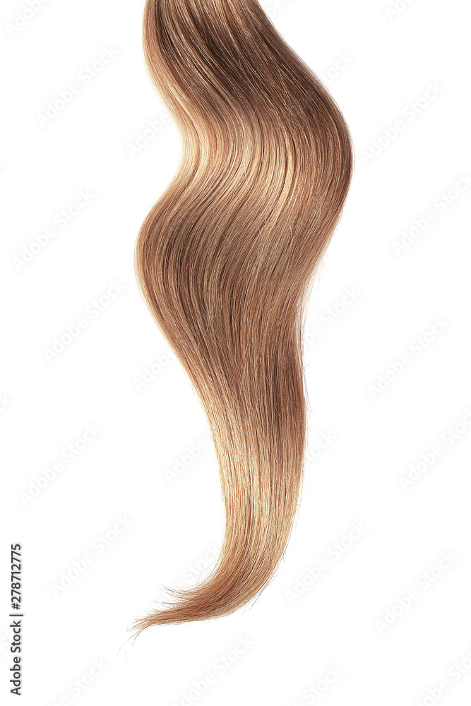 Brown hair isolated on white background. Long ponytail. Brown hair isolated on white background. Long ponytail.
