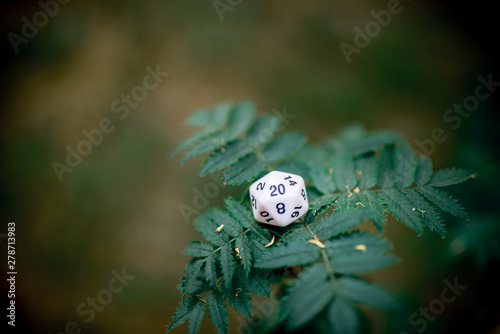 playing dice for role-playing and board games photo