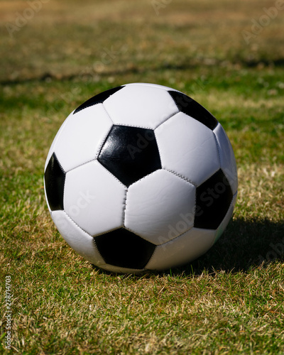 A textbook soccer ball on the garden grass © Mike