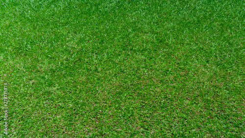 Green grass natural background, Copy Space display product.