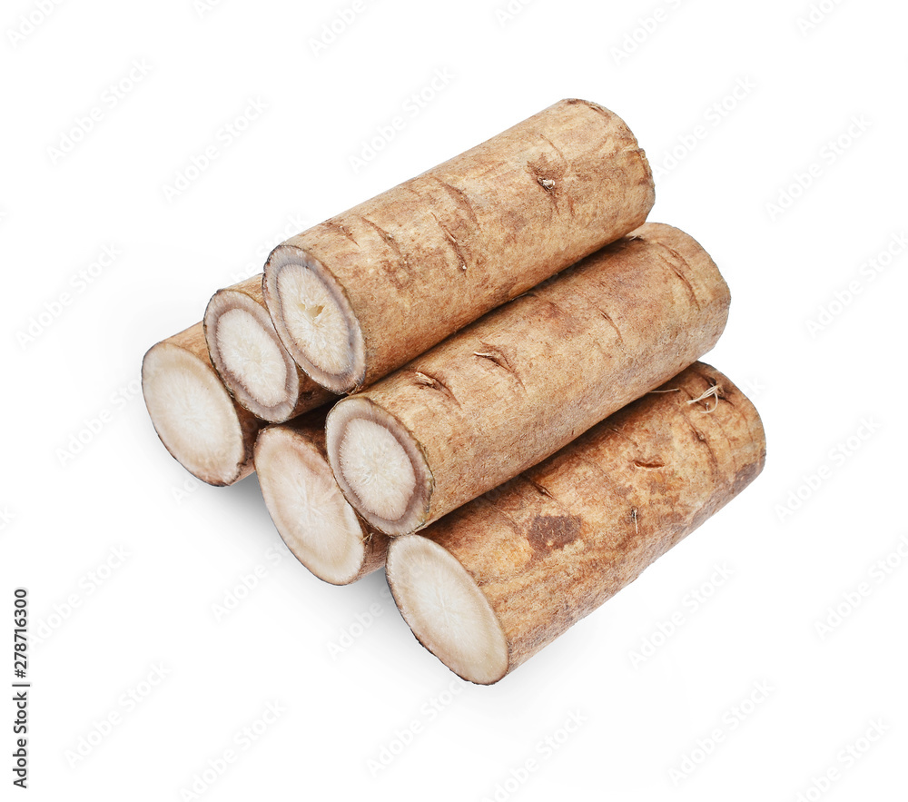 burdock roots or kobo isolated on white background burdock roots or kobo isolated on white background