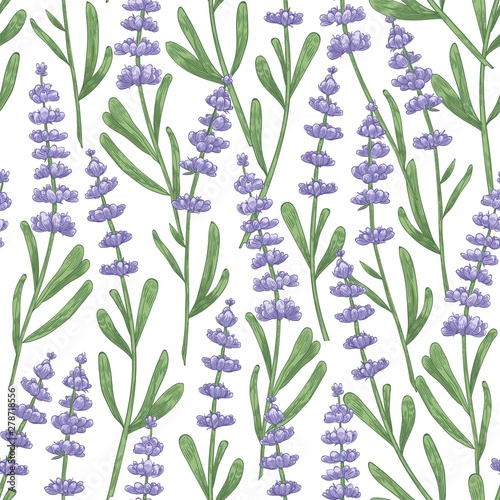 Botanical seamless pattern with lavender flowers hand drawn on white background