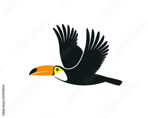 Flying toucan. Isolated toucan on white background 