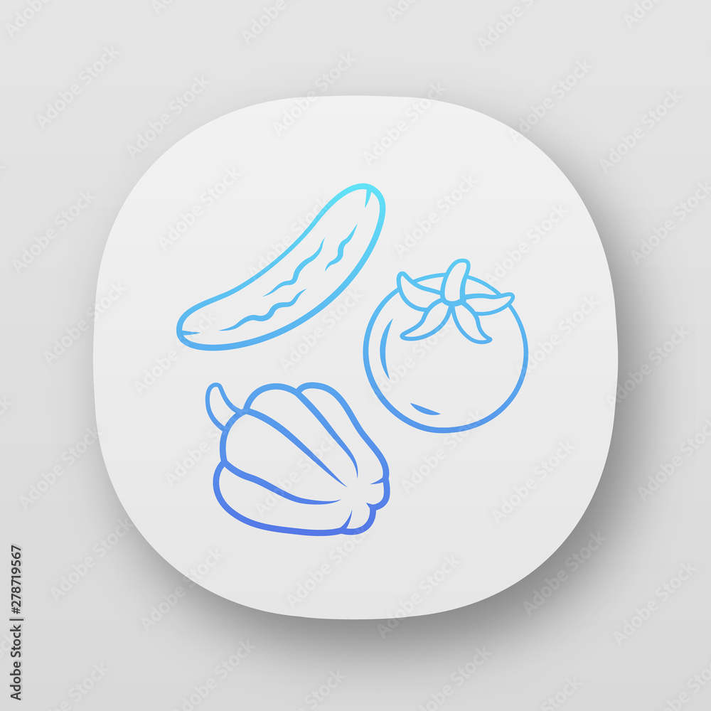 Fresh vegetables app icon. Vegetarian diet and healthy eating UI/UX user interface. Organic vegan food web or mobile application. Cucumber, tomato and bell pepper vector isolated illustration Fresh vegetables app icon. Vegetarian diet and healthy eating UI/UX user interface. Organic vegan food web or mobile application. Cucumber, tomato and bell pepper vector isolated illustration