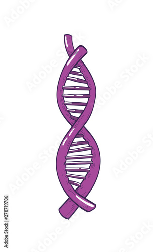 DNA or deoxyribonucleic acid molecule carrying genetic information isolated on white background