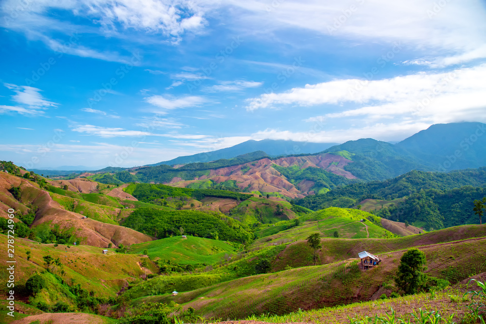 Obraz premium Green Terraces rice field, a beautiful natural beauty on mountain in Nan,Khun Nan Rice Terraces, Boklua Nan Province, north Thailand.