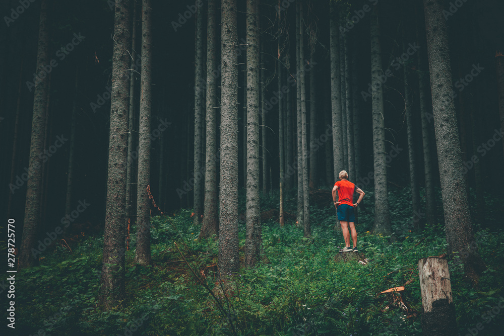 Man and nature. Sportsman in a red shirt stands in a coniferous forest Man and nature. Sportsman in a red shirt stands in a coniferous forest