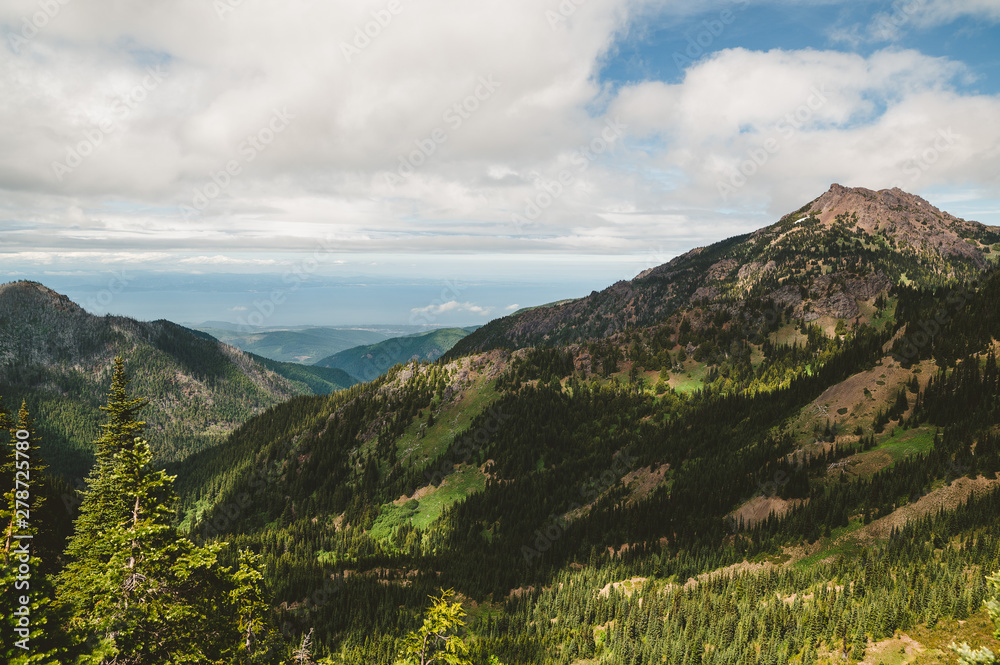 Fototapeta premium Olympic National Park in Washington State
