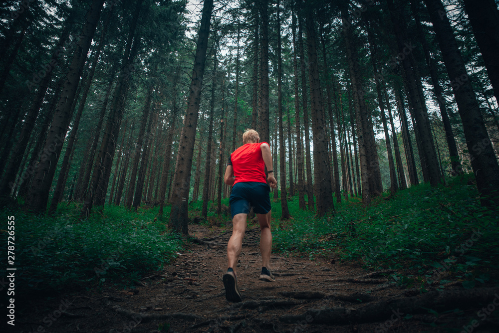 Man running in forest, trail run sport photo