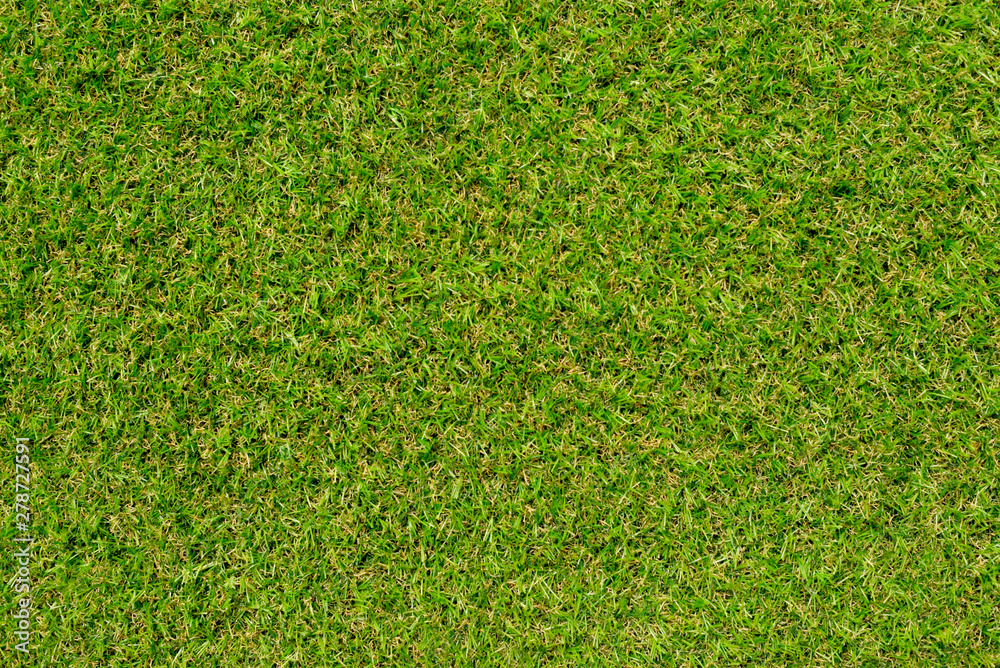 Fototapeta premium green grass texture.