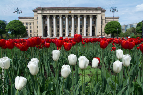 Old city bilbing and spring tulips in Kazakhstan Almaty